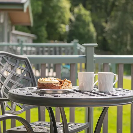 Hazel - High Borrans Farm Ings (Cumbria)