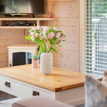Hazel - High Borrans Farm Ings (Cumbria)