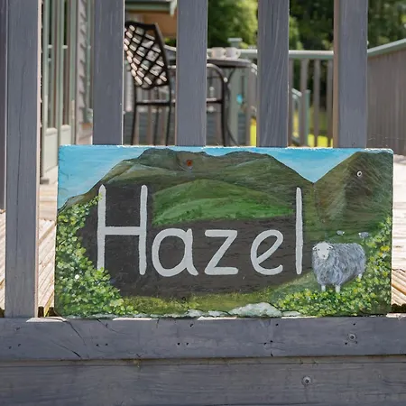 Hazel - High Borrans Farm * 温德米尔