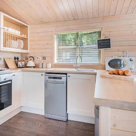 Hazel - High Borrans Farm *